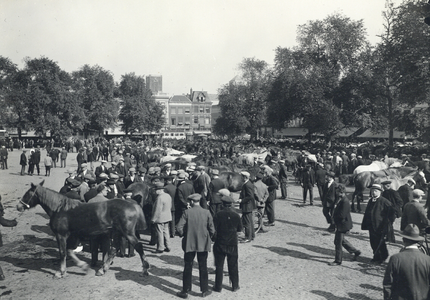 99036 Gezicht op het Vredenburg te Utrecht tijdens de laatste paardenmarkt.N.B. De eerstvolgende markt op 8 oktober zal ...